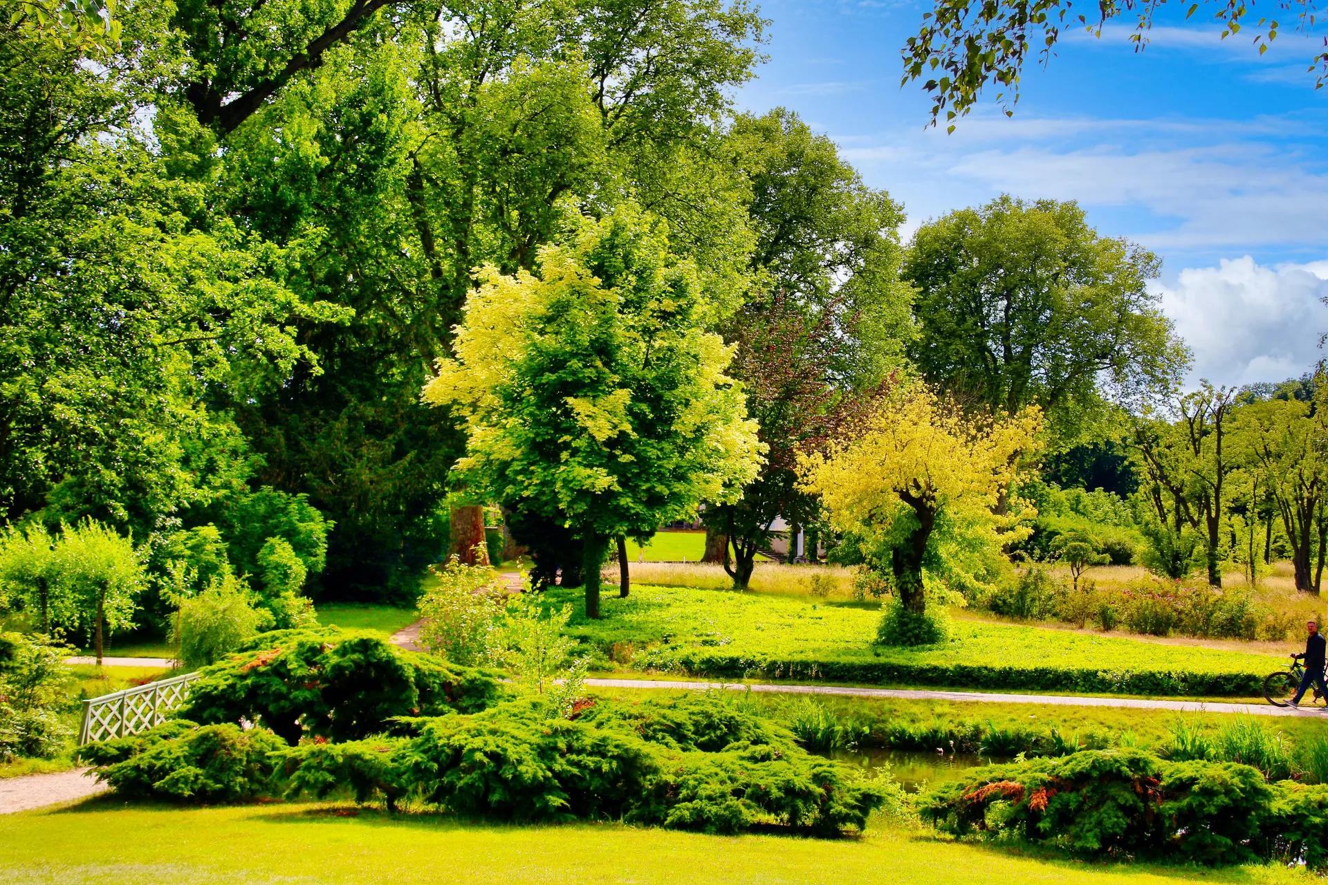 Gepflegter Garten mit angelegtem Weg